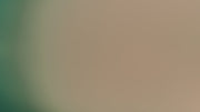 Gradient background fading from green to tan.