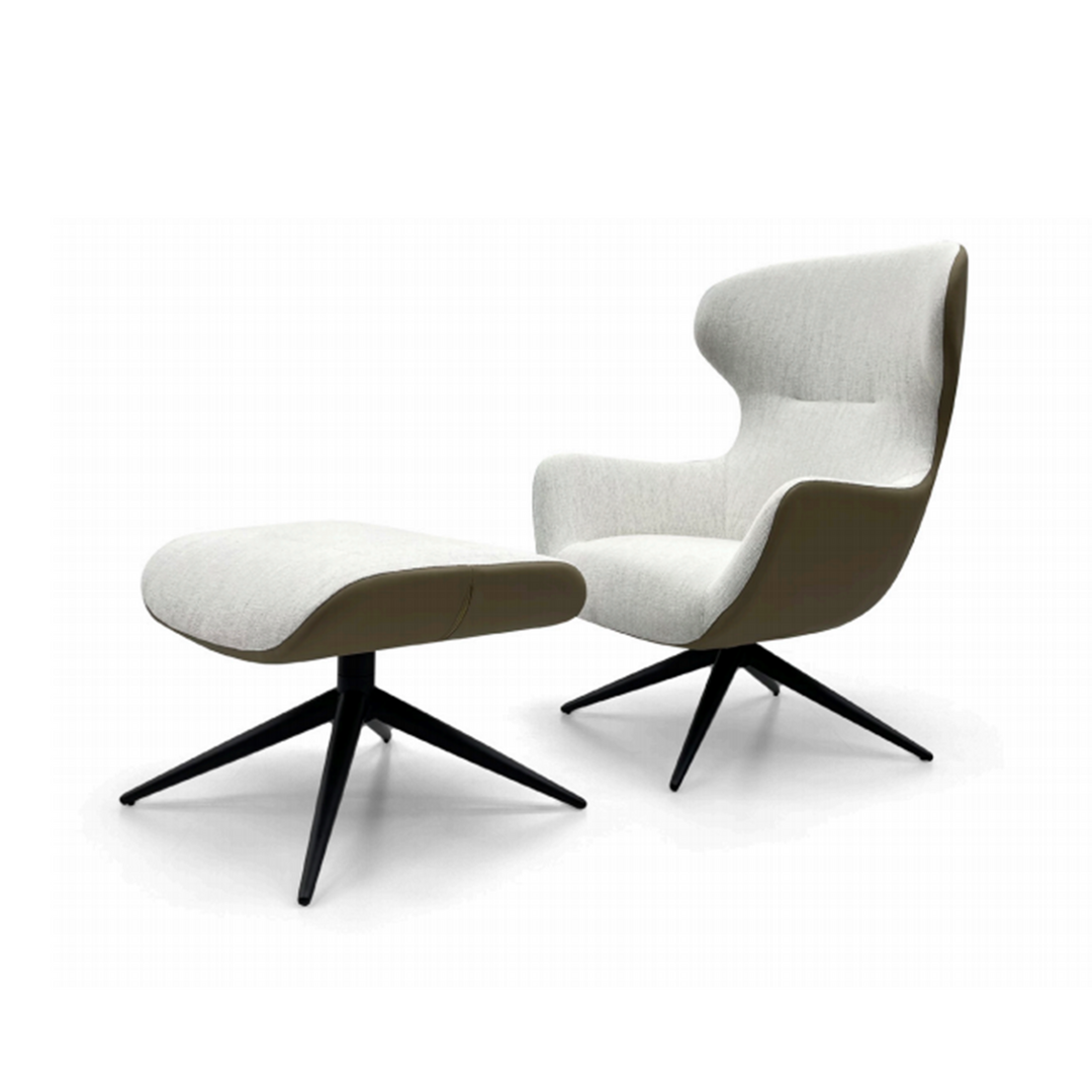 Aero Wing Lounge Chair<br>SE-A53#